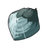 キレイな鱗の画像