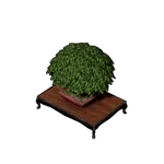 盆栽の画像