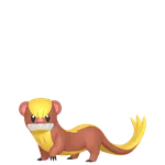 ヤングースの画像