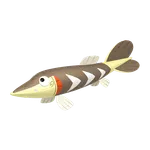 846サシカマスの画像
