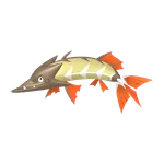 847カマスジョーの画像