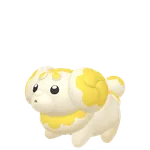 926パピモッチの画像