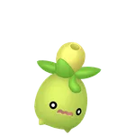 ミニーブの画像