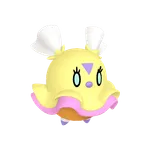 955ヒラヒナの画像