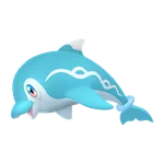 ナミイルカの画像