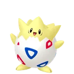 175トゲピーの画像