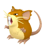 ラッタの画像