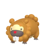 No.038ビッパの画像
