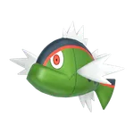 No.056バスラオあかすじの画像