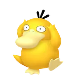 No.059コダックの画像