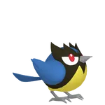 No.040ココガラの画像