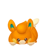 No.022パモの画像
