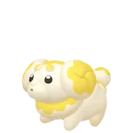 No.076パピモッチの画像
