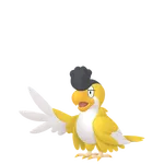 No.113イキリンコイエローフェザーの画像