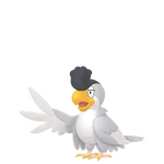 No.113イキリンコホワイトフェザーの画像