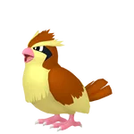ポッポ
