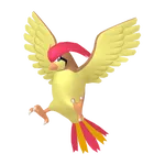 ピジョン