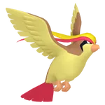 ピジョット
