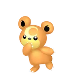 No.215ヒメグマの画像