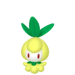 No.104チュリネの画像