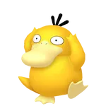 No.055コダックの画像