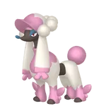 トリミアン(マダムカット)