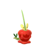カミッチュの画像