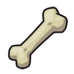 きちょうなホネ
