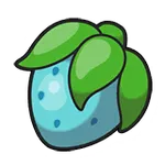 チーゴのみ