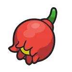 ザロクのみ
