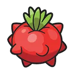 マトマのみ