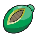 ビアーのみ