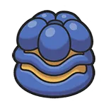 リュガのみ