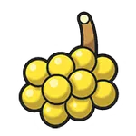ジャポのみ
