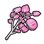 ひでん：あまスパイスの画像