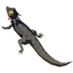 No.91ヒケシトカゲの画像