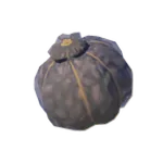 No.222マックストリュフの画像
