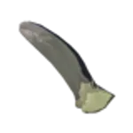 ホラブリンの爪の画像