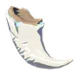 白龍の爪の画像