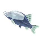 凍結ホラウオの画像