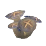 焼きアカリダケの画像