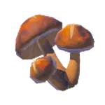 焼きポカポカダケの画像