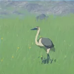 アオバサギの画像