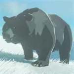 コウテイヒグマの画像