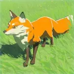 ヘイゲンキツネの画像