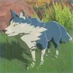 サンゾクオオカミの画像