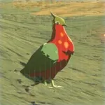 カエンバトの画像