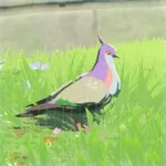 ナミバトの画像
