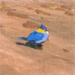 アオナミスズメの画像