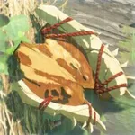 竜骨ボコ盾の画像